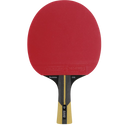 Dunlop Revolution 5000 Bordtennisracket