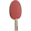 Dunlop Match 2 Player Set Bordtennis
