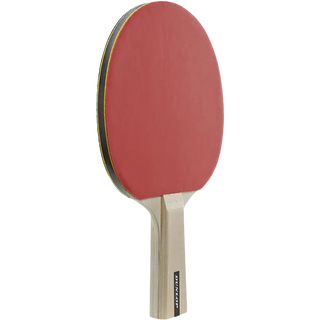 Dunlop Match 2 Player Set Bordtennis