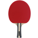 Dunlop Flux Bordtennisracket