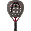 Head Coello Motion 2026