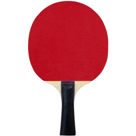 FZ Forza Classic TT 1-Star Bordtennisracket