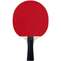 FZ Forza Classic TT 1-Star Bordtennisracket