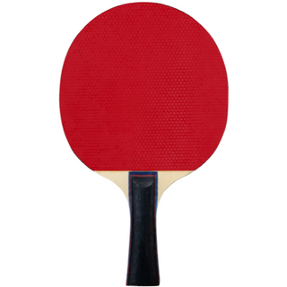 FZ Forza Classic TT 1-Star Bordtennisracket