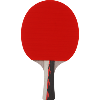 FZ Forza Supreme TT 6-Star Bordtennisracket