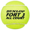 Dunlop Fort - Mastersport.no